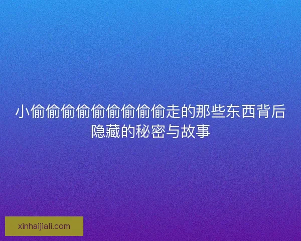 小偷偷偷偷偷偷偷偷偷走的那些东西背后隐藏的秘密与故事