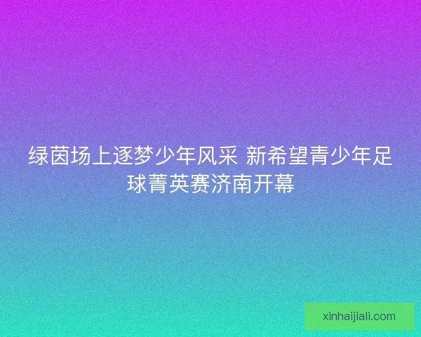 绿茵场上逐梦少年风采 新希望青少年足球菁英赛济南开幕