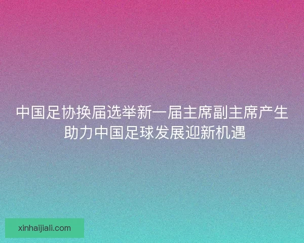 中国足协换届选举新一届主席副主席产生 助力中国足球发展迎新机遇